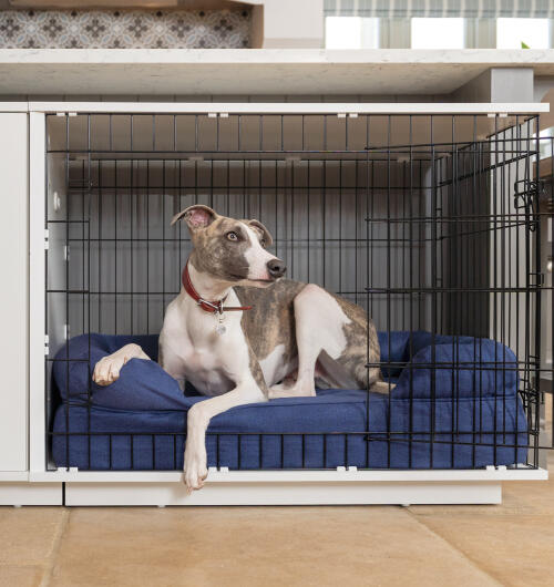 Dog sat on blue Bolster Bed inside Fido Studio Dog Crate.