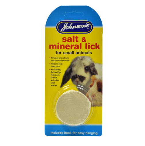 Do Dogs Need Mineral Blocks