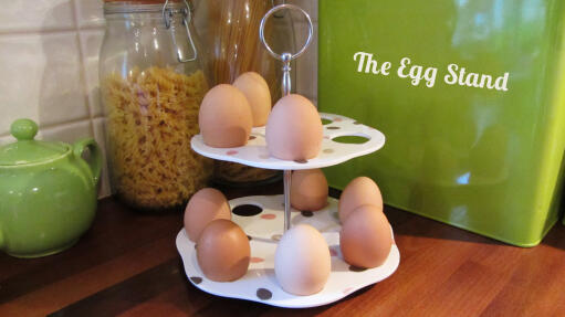 The Egg Stand complements any kitchen