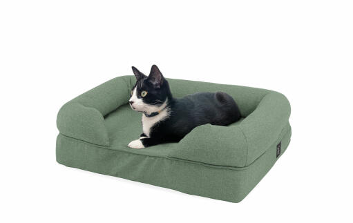 Cat Laying on Sage Green Bolster Bed for Cats