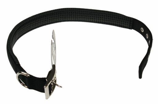 Black Dog Collar in Various Sizes