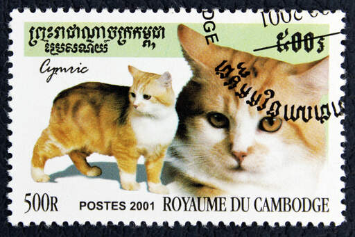 A stamp from cambodia with a cymric printed on it