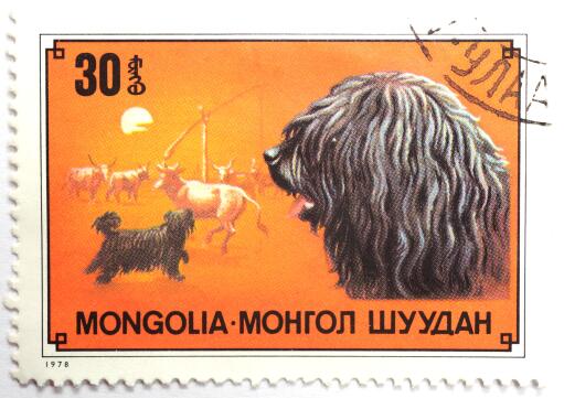 A Puli on a Mongolian stamp