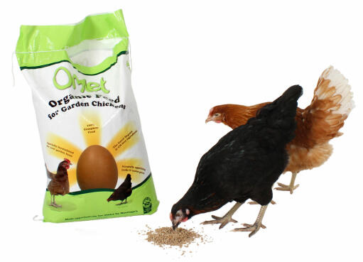 Organic Omlet Chicken Feed 10kg | Omlet Organic Omlet Chicken Feed 10kg | Omlet