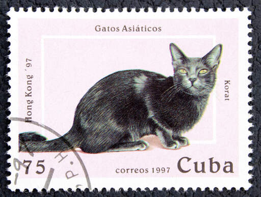 a stamp from cuba with a korat cat printed on it