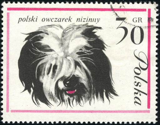 A Polish Lowland Sheepdog on a Polish stamp