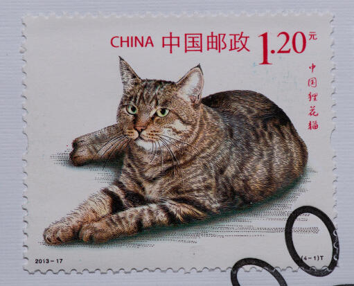 A stamp from china with a dragon li cat printed on it