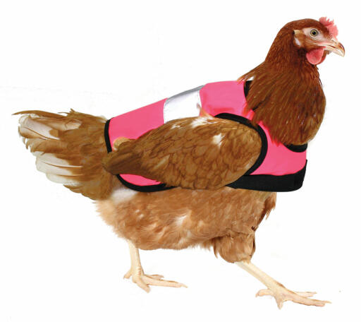 High-Vis Chicken Jacket in pink