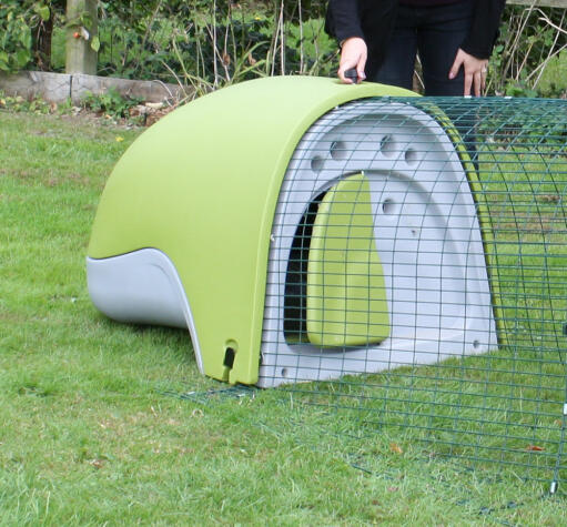 Opening the Eglu chicken coop door