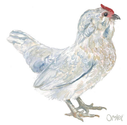 A beautiful painting of a lavender quail female Barbu DAnvers