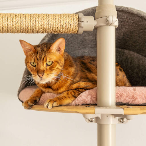 Floor to ceiling sisal post hot sale