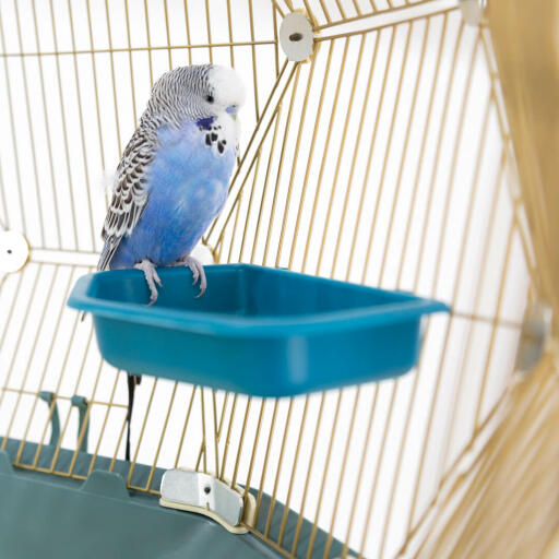 Geo Bird Bath Omlet