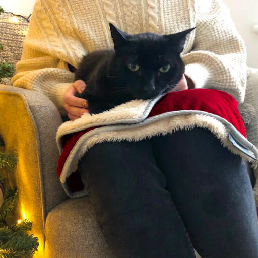 Black cat sitting on luxury cat christmas blanket on person