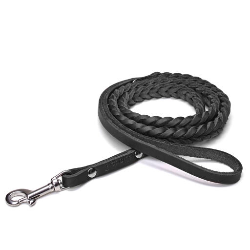 Cloud7 Leather Dog Leash Lead Central Park Black