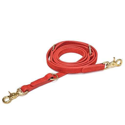 Cloud7 Luxury Leather Dog Leash Lead Cherry Red