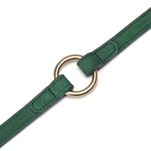 Cloud7 Leather Luxury Dog Lead Leash Park Green