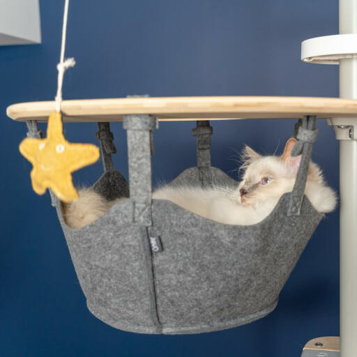 White Cat Sitting in Hammock of Omlet Freestyle Floor to Ceiling Cat Tree watching Omlet Cat Toy Starfish