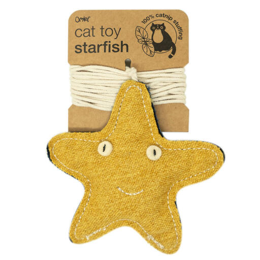 starfish catnip toy