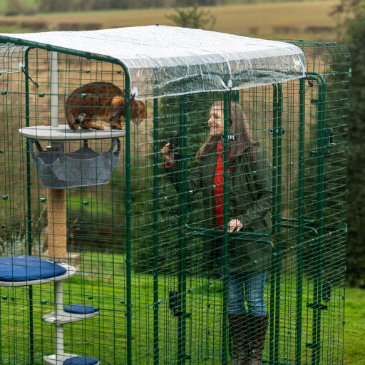 Omlet shop cat enclosure