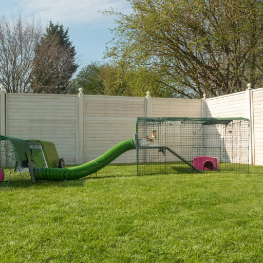 Omlet Zippi Rabbit Playpen connected to Eglu Rabbit Hutch with Zippi Tunnel