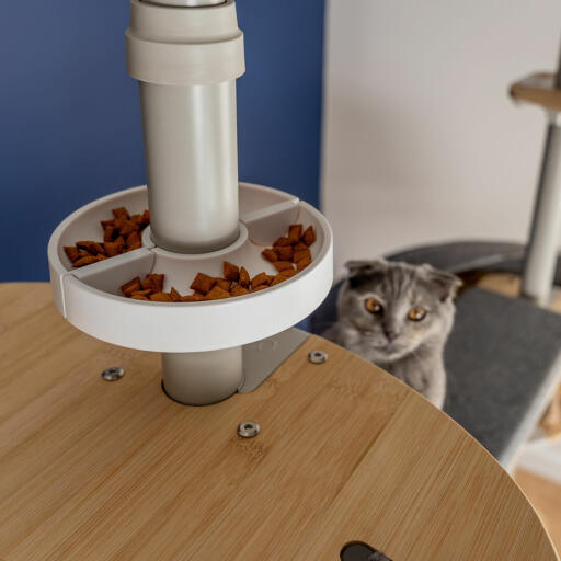 Cat house accessories clearance