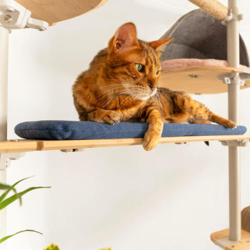 Cat Laying on Woven Blue Cushion of Freestyle Floor to Ceiling Cat Tree