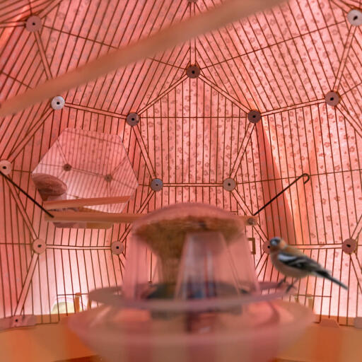 a model bird perched on a feeder inside a pink bird cage with a mirror