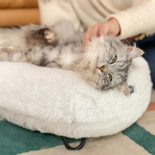 Cat Laying and being tickled on Omlet Maya Donut Cat Bed in Snowball White and Black Hairpin Feet