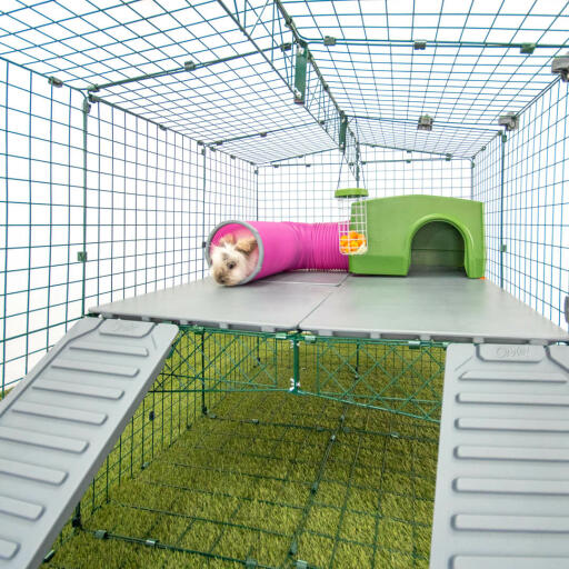 Omlet Zippi Rabbit Playpen with Zippi Platforms, Green Zippi Shelter, Zippi Play Tunnel and Rabbit