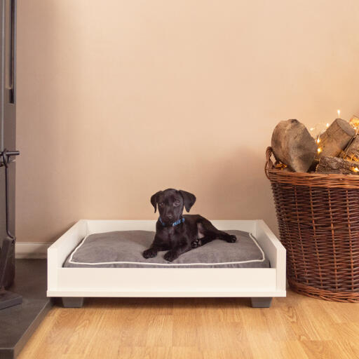 Wooden dog sofa top