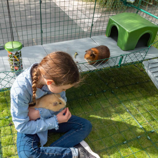 Girl Holding Guinea Pig inside of Omlet Zippi Guinea Pig Playpen with Zippi Platforms, Green Zippi Shelter and Caddi Treat Holder