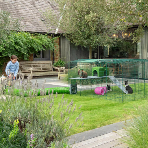 Three rabbits in Omlet Zippi Rabbit Playpen with Zippi Platforms, Green Zippi Shelter and Zippi Tunnel connected