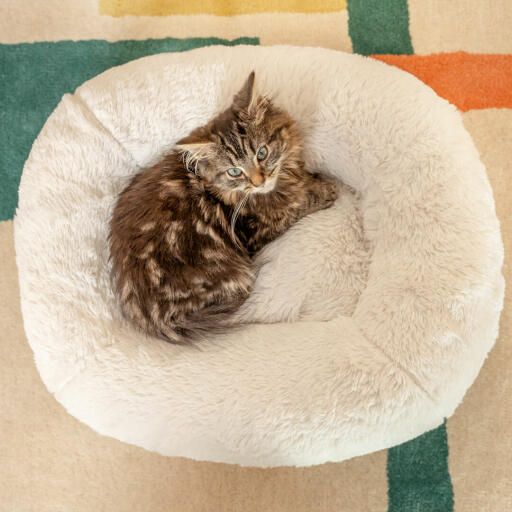 Maya Donut Cat Bed Snowball White Plush Cushion With Customisable