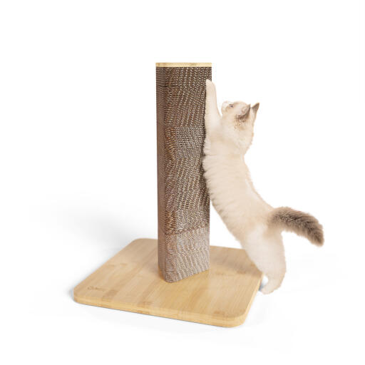 Short STAK Cat Scratcher with a bamboo base