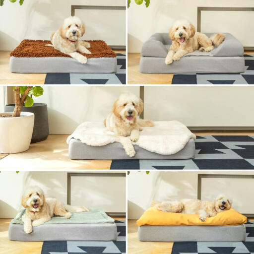 5 shots of dog laying on Omlet Topology Dog Bed with Microfiber, Bolster Bed, Sheepskin, Quilted and Beanbag Toppers