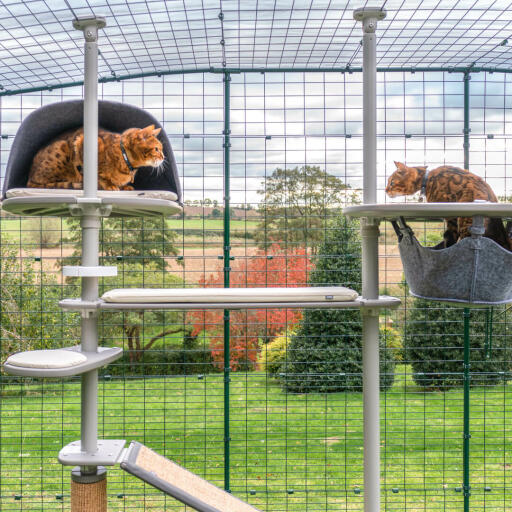 Outdoor clearance cat bridge