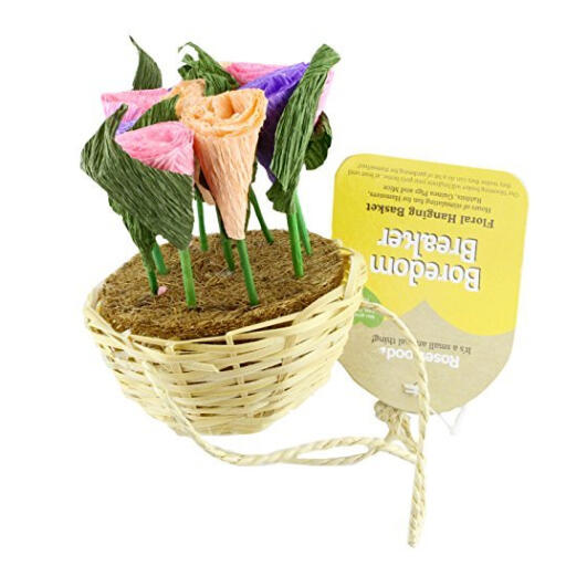 Boredom Breaker Floral Hanging Basket