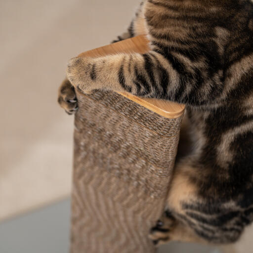 cardboard cat scratching post detail