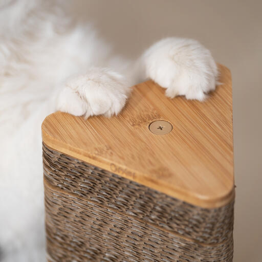 cardboard cat scratching post detail