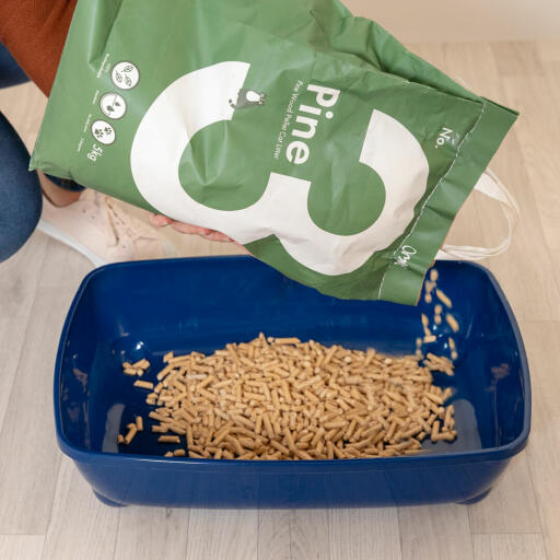 Pouring Omlet Pine Cat Litter into litter tray