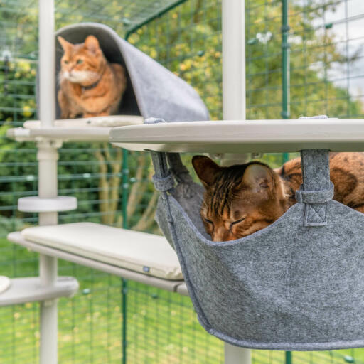 Cats enjoying the Omlet Freestyle Outdoor Cat Tree system, one is sleeping in the hammock and the other is in the den