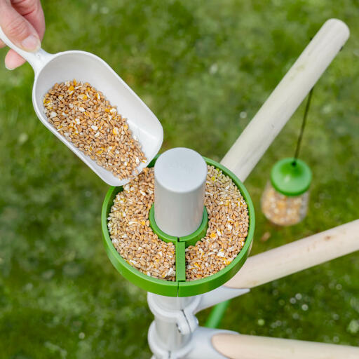 chicken treat holder