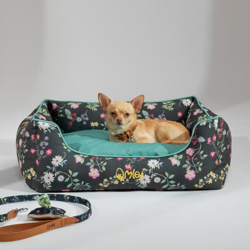 Chihuahua lying in an Omlet Nest Bed in the Midnight Meadow pattern