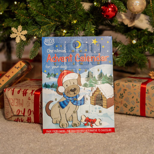 Christmas Advent Calendar for Dogs