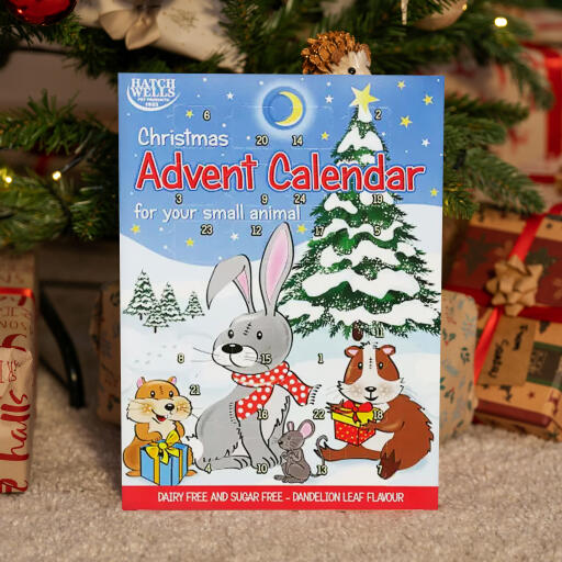 Christmas Advent Calendar for Small Animals