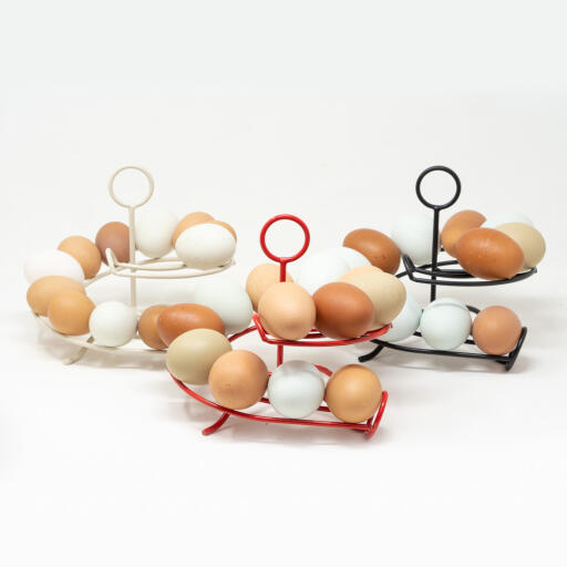 Chicken egg skelter holder in 3 different colours