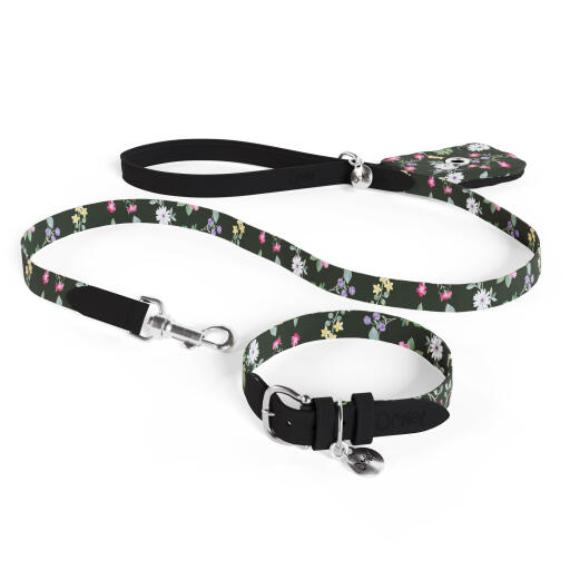 Dog lead, collar and poo bag holder as a bundle