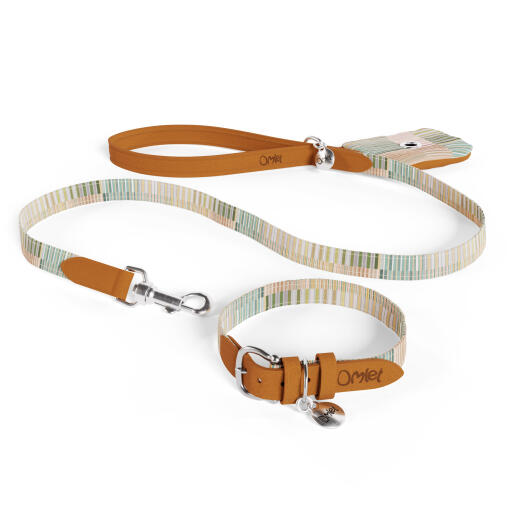 Matching dog collar and lead set top
