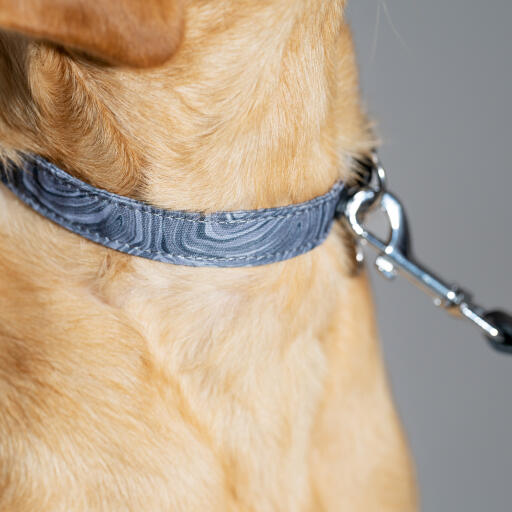 Designer dog lead and dog collar contour grey omlet