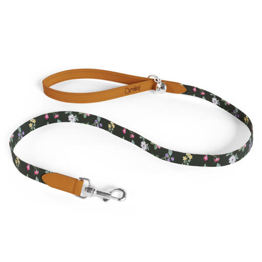 Fancy best sale dog leads